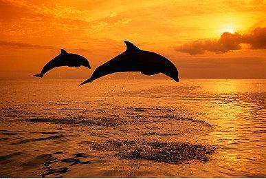 植松伸夫：Fantasian为其最后一个游戏作曲项目