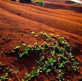 奇葩消耐新游《数饭粒》上架steam 解决无用疑问